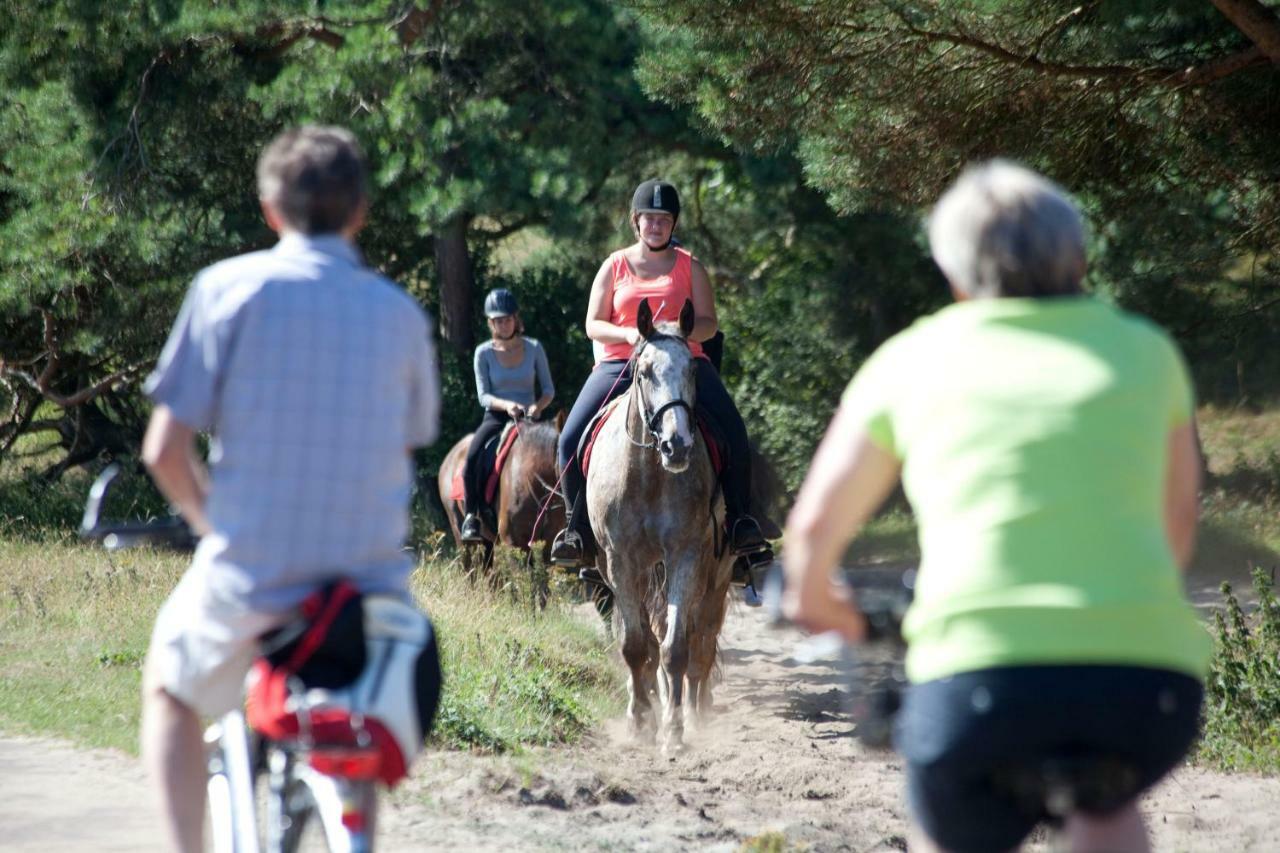 Bungalows - Bungalowpark Mooyeveld - Uniek Gelegen In De Duinen! Egmond Binnen Bagian luar foto